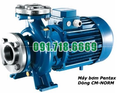 Máy bơm trục ngang Pentax tiết kiệm điện - CM65- 160A